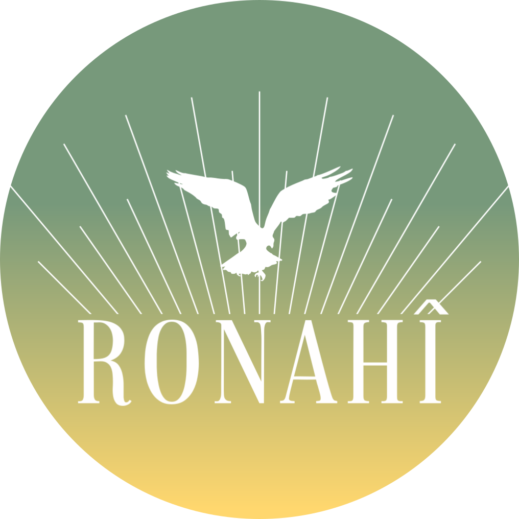 www.ronahi.eu